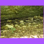 Dry River Bed.jpg